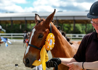 Awards - Sunday - 5